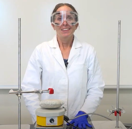 Dr. Laura Jakubowski pictured in her lab.