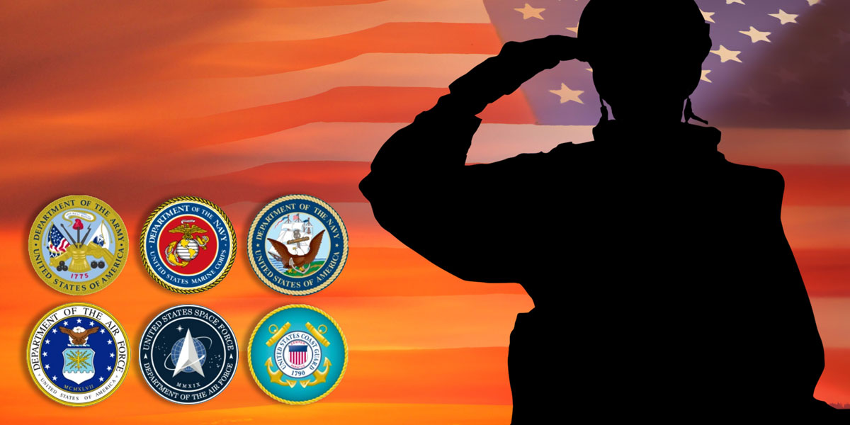 Silhouette of a saluting soldier infront of the USA flag with crests of the armed forces