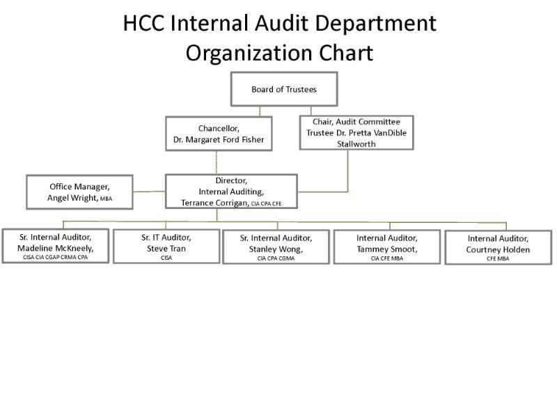 Organization Chart - Internal Audit Department 1-24-2024.jpg